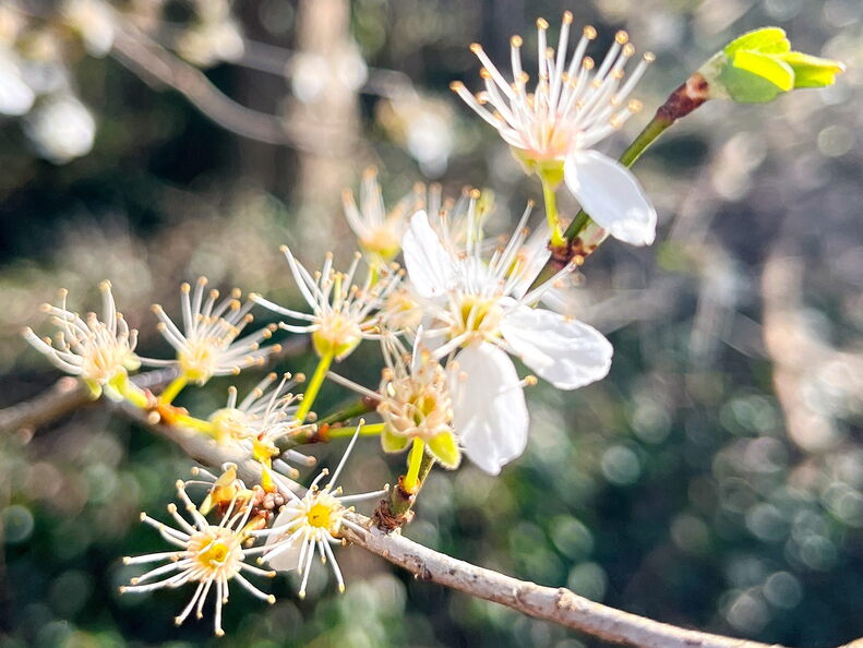 23-03-17 10-20-00 4875